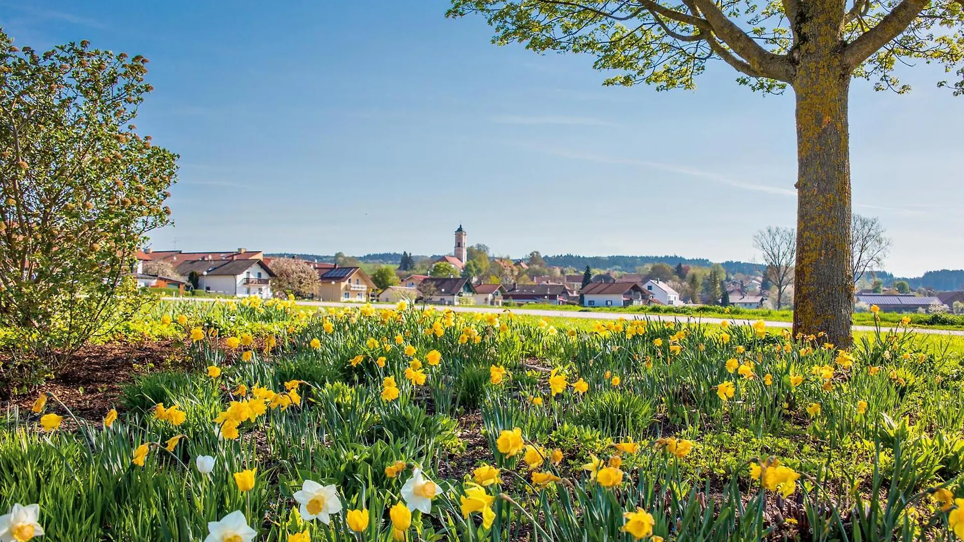****  Hotel Chrysantihof Bad Birnbach Německo